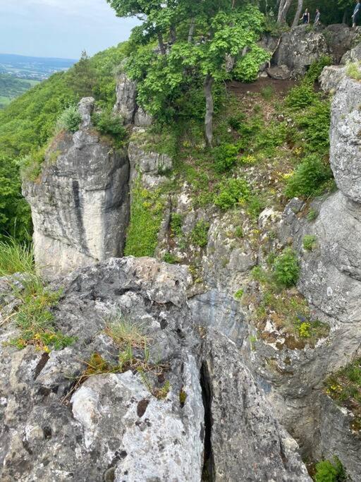 Laendliche Fewo Wildblume, 4 Km Zum Stausee Happurg エクステリア 写真